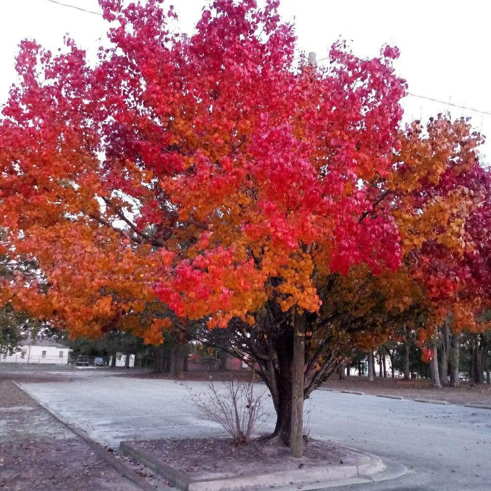 Meet your Posher, Katrina